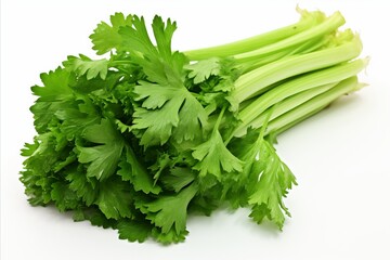 Fresh celery on clean white backdrop for striking ads and captivating packaging designs