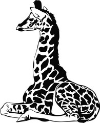 Cartoon Black and White Isolated Illustration Vector Of A Giraffe Sitting Down