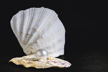 a large mother-of-pearl pearl on a beautiful seashell