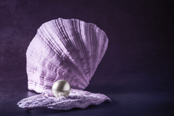 a large mother-of-pearl pearl on a beautiful seashell