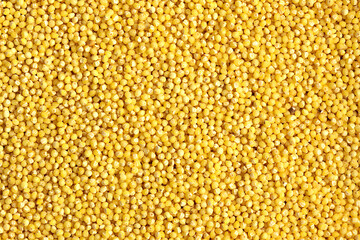 Close up view on spilled raw millet grains