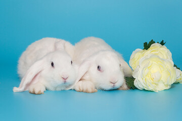 Two white decorative  fold rabbits and flowers