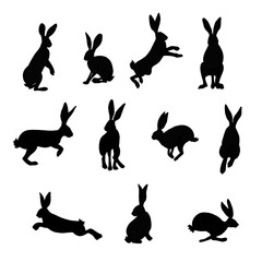 Hare and rabbit Set Isolated hand drawn Illustration