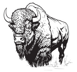 buffalo portrait logo sketch hand drawn Vector © BigJoy