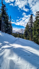 Fototapeta na wymiar Snow covered alpine meadow with scenic view of Zirbitzkogel in Lavanttal Alps, Carinthia, Austria. Ski tour trail through glistening deep snow. Snowy landscape in Austrian Alps. Winter wonderland