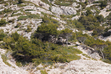 Fototapeta na wymiar Rocky island with trees growing on it.