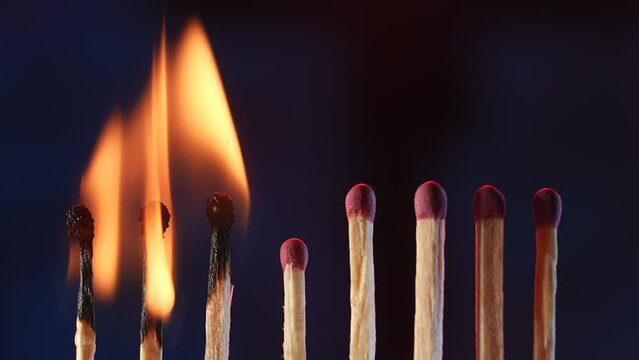 A row of matches where three burning matches blaze and then extinguish when the wind blows. Thick white smoke envelops the matches and rises upwards. Macro shot of the extinguishing matches.