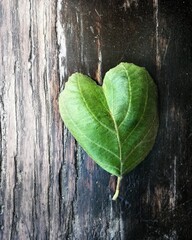 green heart shaped leaf on wooden background