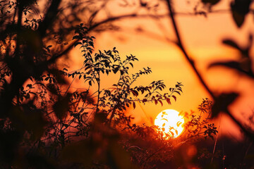 A beautiful sunset with the sun setting behind a row of trees. This image can be used to depict the end of the day or the beauty of nature