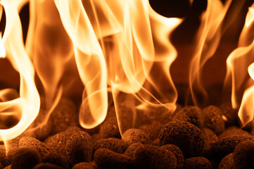 close up of burning fire