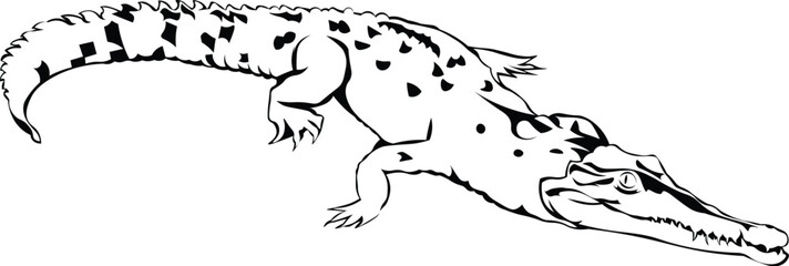 Fototapeta premium Cartoon Black and White Isolated Illustration Vector Of An Alligator Crocodile