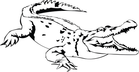 Cartoon Black and White Isolated Illustration Vector Of An Alligator Crocodile