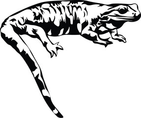 Cartoon Black and White Isolated Illustration Vector Of A Salamander Lizard