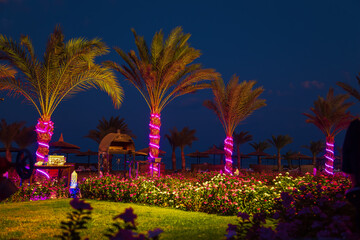 The hotel area on the shores of the Red Sea at night.