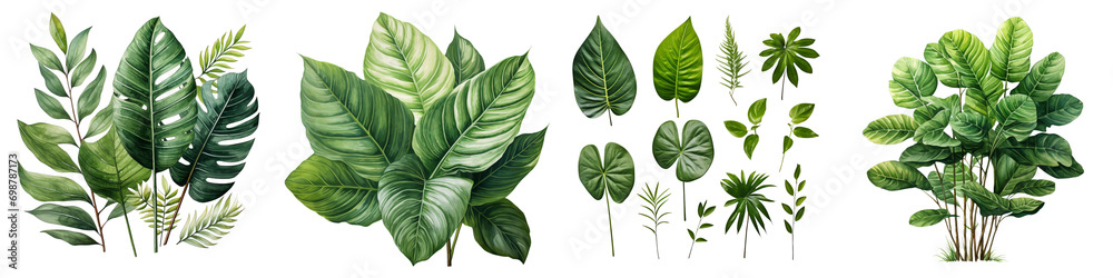 Wall mural green leaves of tropical plants hyperrealistic highly detailed isolated on transparent background pn - Wall murals