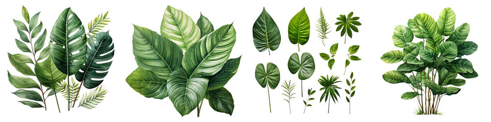Green leaves of tropical plants Hyperrealistic Highly Detailed Isolated On Transparent Background Png File