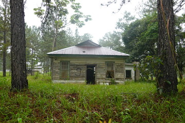 Belize - Mountain Pine Ridge Forest Reserve