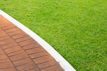 Fresh lawn grass with cement walkway