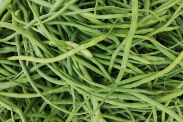 Organic, Fresh Radish Pods in the Market, Green Vegetable Background,