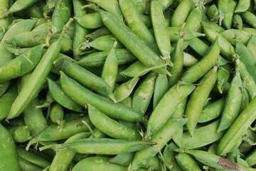 Organic, Fresh Sweet Pea in the Market, Green Vegetable Background,