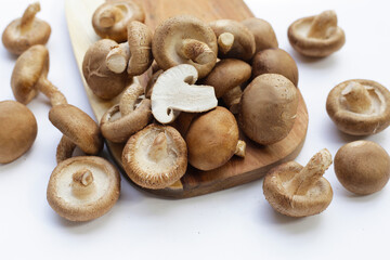 Fresh shiitake mushrooms on white background.