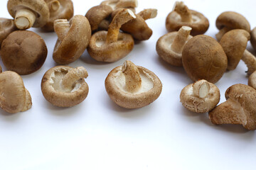 Fresh shiitake mushrooms on white background.