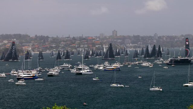 Race start from Sydney Harbour to Hobart in a sail yachts competition as 4k.
