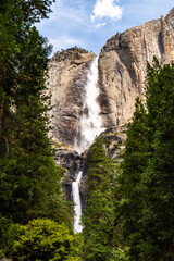 Lower Yosemite Falls in Yosemite National Park