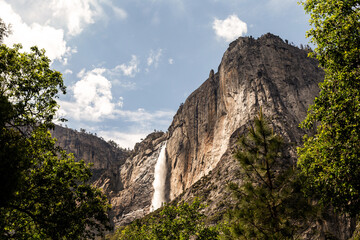 Gazing up at Yosemite fall at Yosemite National Park