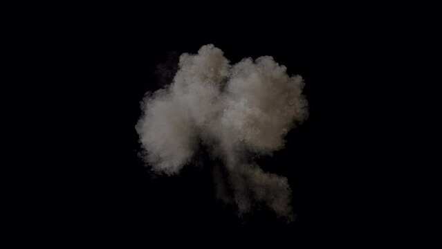 Explosion with fire and smoke, 4k 25p with alpha channel for transparency. Two speeds, including slow motion so you can adjust the speed.