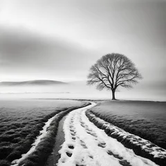 Rolgordijnen Minimalist black and white landscape with a solitary tree in winter © beerlogoff