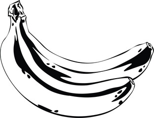 Cartoon Black and White Isolated Illustration Vector Of A Bunch of Bananas - obrazy, fototapety, plakaty