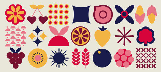 Bauhaus. Abstract geometric pattern of fruits and vegetables. Shapes of natural organic flowers, modern brand packaging design, minimal botanical eco farming concept