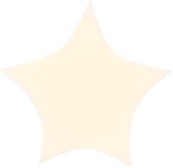 Obraz premium star