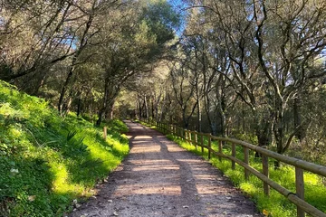 Zelfklevend Fotobehang Bosweg Walkway in the forest in the mountains of Catalonia, Spain.