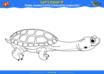 Lets color it Snake-necked turtle