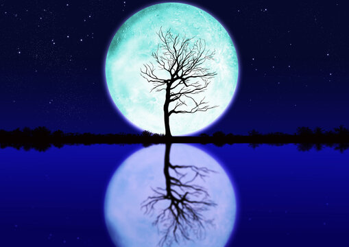 Bluemoon Images – Browse 510 Stock Photos, Vectors, and Bluemoon Images – Browse 510 Stock Photos, Vectors, and
