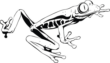 Cartoon Black and White Isolated Illustration Vector Of A Tree Frog