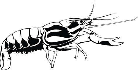 Cartoon Black and White Isolated Illustration Vector Of A Lobster 