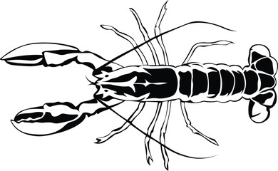 Cartoon Black and White Isolated Illustration Vector Of A Lobster 