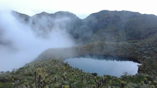 Paramo and lake landscape with moving mist and cloudy weather. Ecosystem with frailejones, espeletia and other moorland green plants 