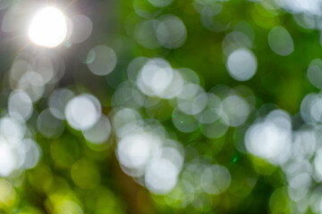 Blur green bokeh with light flare outdoor natural garden, Green natural garden Blur background.