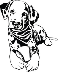 Cartoon Black and White Isolated Illustration Vector Of A Pet Dalmatian Puppy Dog Sitting Down