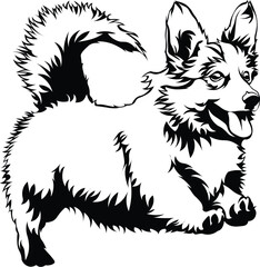 Cartoon Black and White Isolated Illustration Vector Of A Corgi Pet Puppy Dog Running with Mouth Open