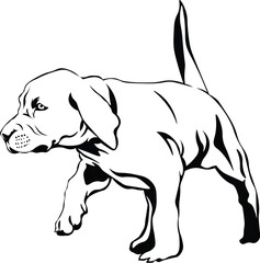 Cartoon Black and White Isolated Illustration Vector Of A Pet Puppy Dog Walking with Tail Up