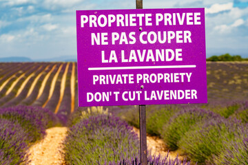 Private sign on lavender field