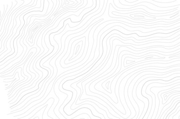 Fototapeta premium topographic contour background. contour lines background. Topographic map background. abstract wavy background. Topographic map contour background.