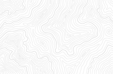 topographic contour background. contour lines background. Topographic map background. abstract wavy background. Topographic map contour background.