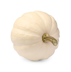 One ripe beige pumpkin isolated on white
