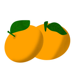 Sweet orange and mandarin fruit illustration